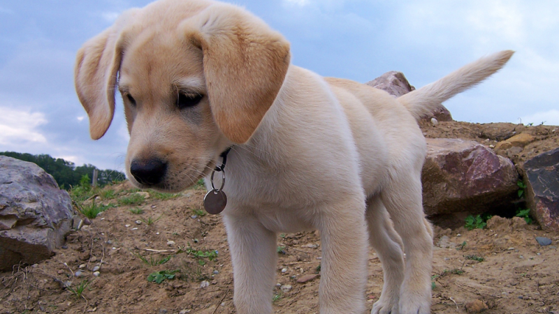 Sans titre (1000 x 800 px)