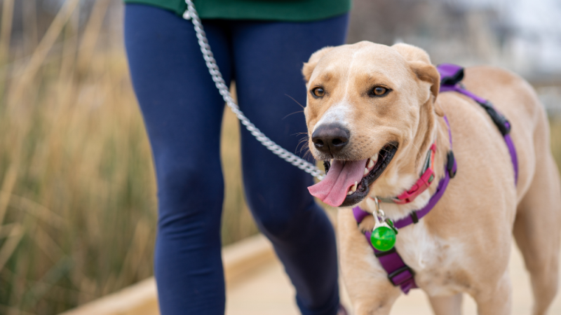 Sans titre (1000 x 800 px)(2)