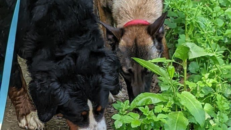 Sans titre (1000 x 800 px)(5)