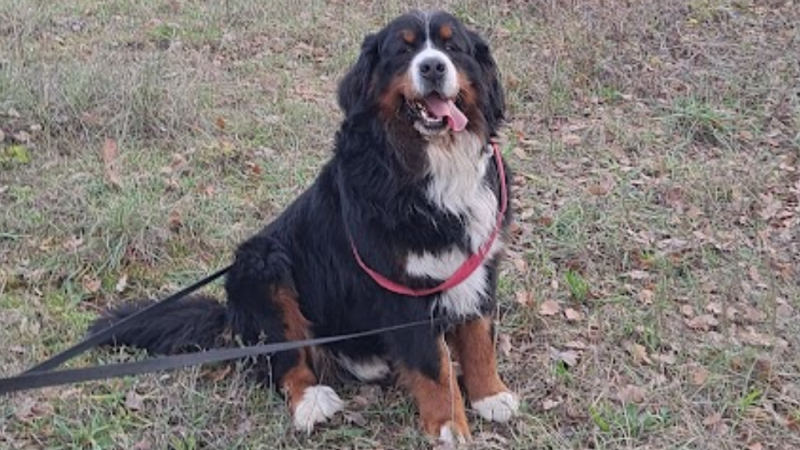 Sans titre (1000 x 800 px)(6)